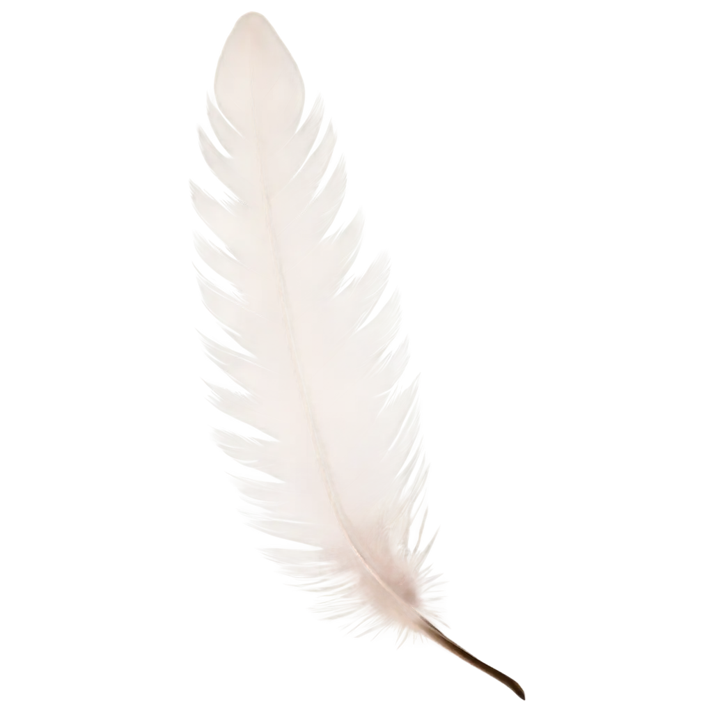 dove feather