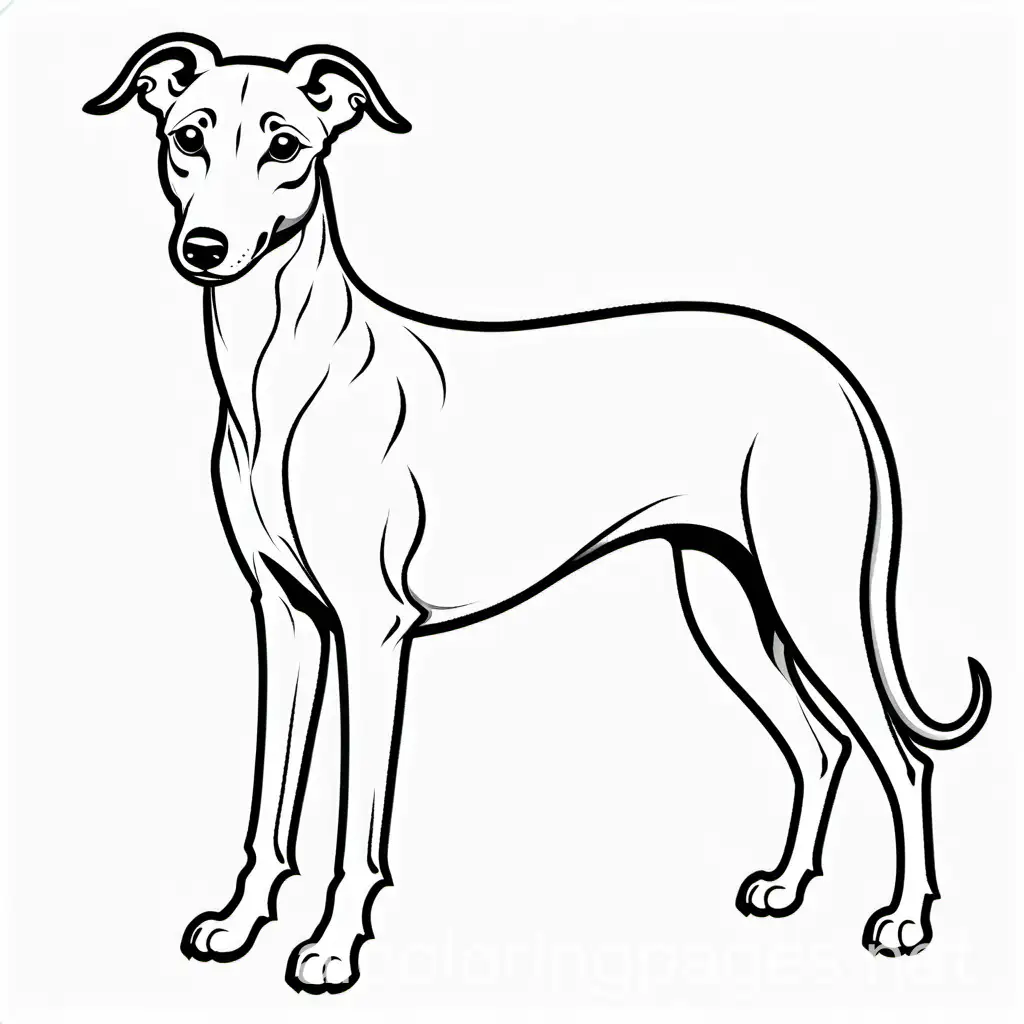 Simple-Grey-and-White-Whippet-Coloring-Page-for-Kids