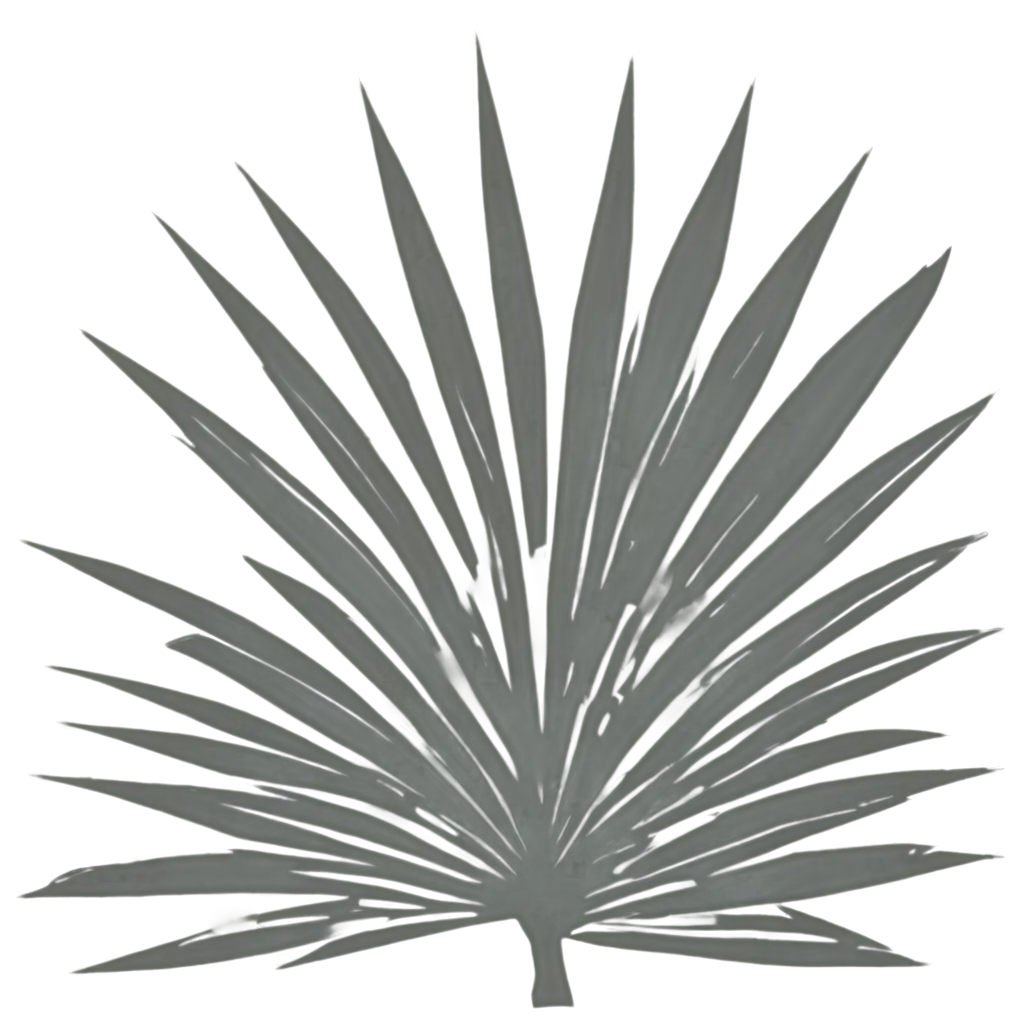 Palm-Tree-Leaves-Shadow-PNG-HighQuality-Transparent-Image-for-Versatile-Use