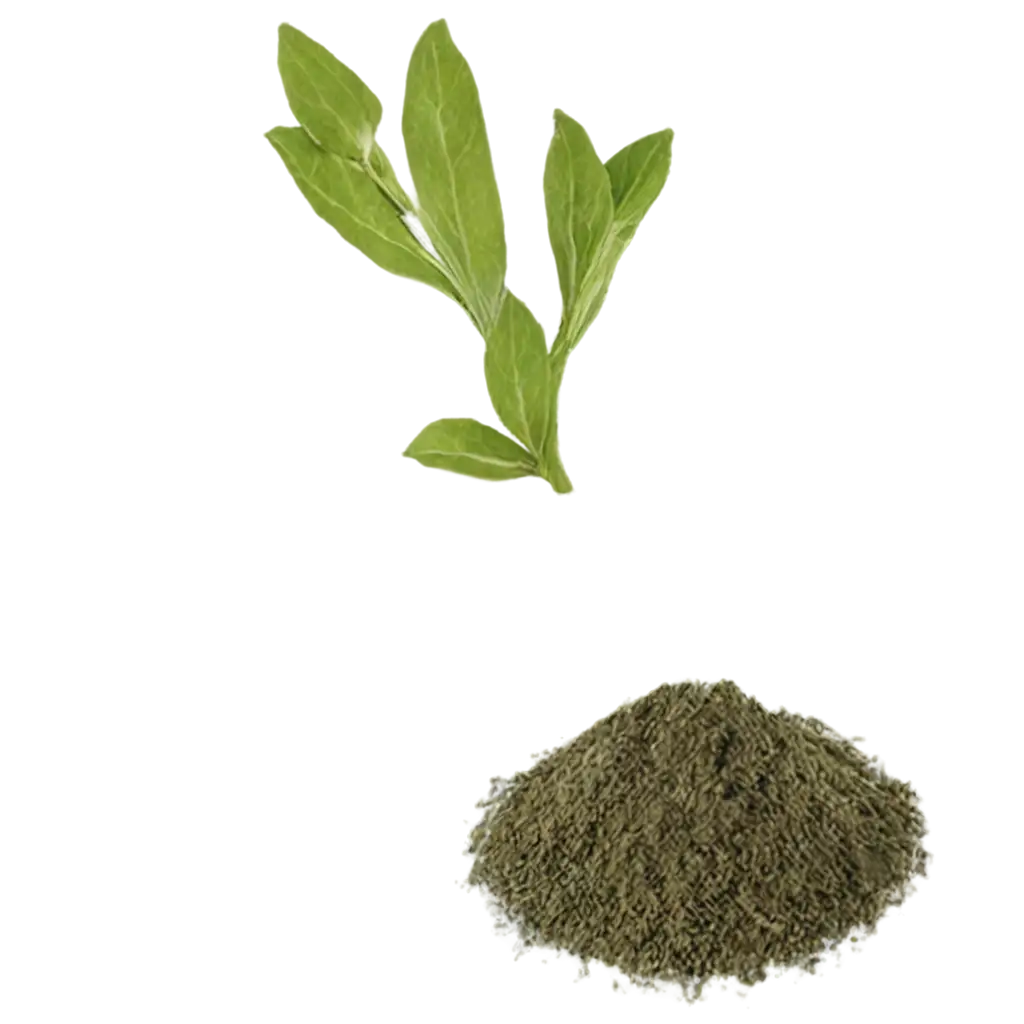 Herbal-Plants-and-Powder-PNG-Image-for-Natural-Wellness-and-Remedies