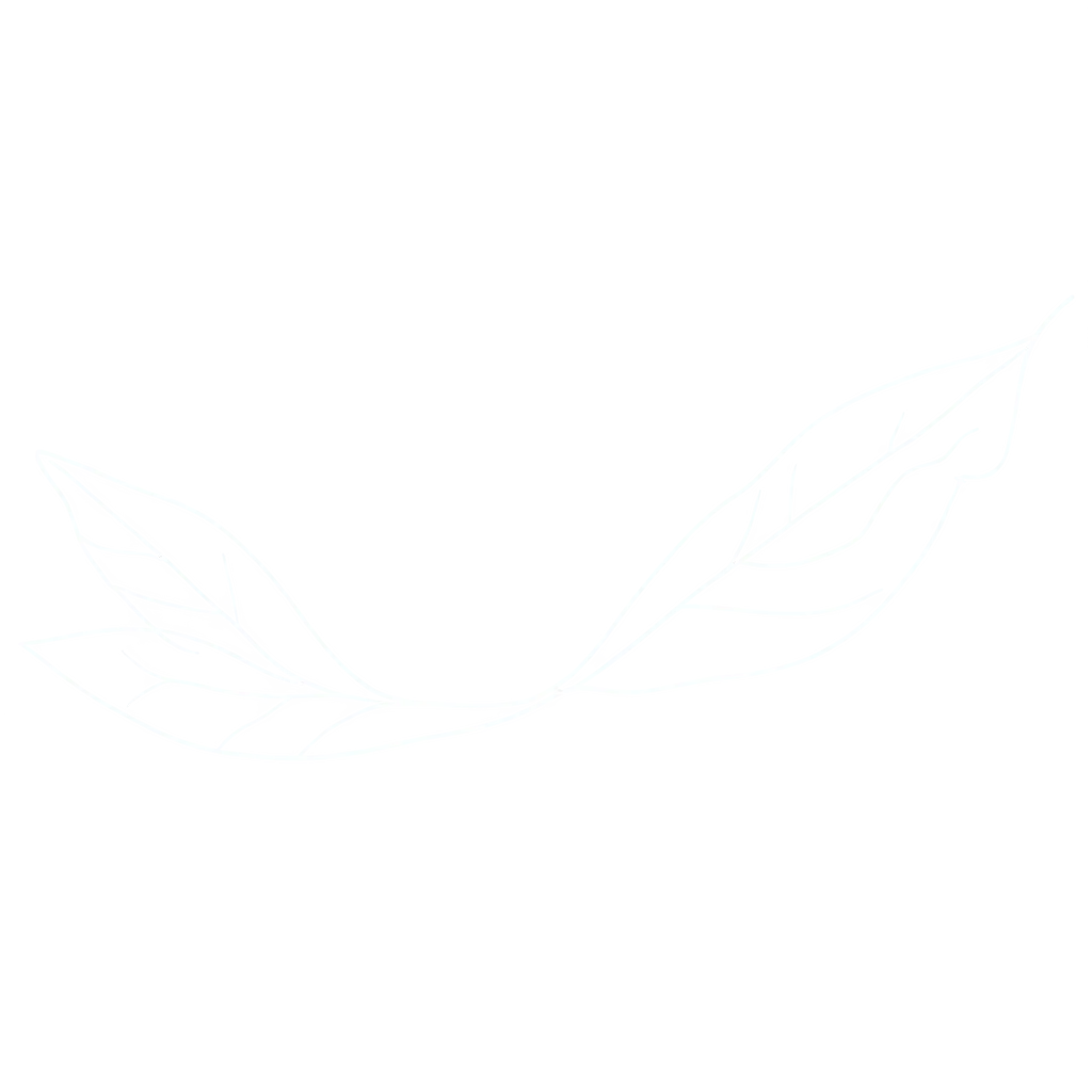 Minimalist-OneLine-Drawing-of-a-Leaf-Pair-in-PNG-Format-for-Clear-and-Crisp-Visuals