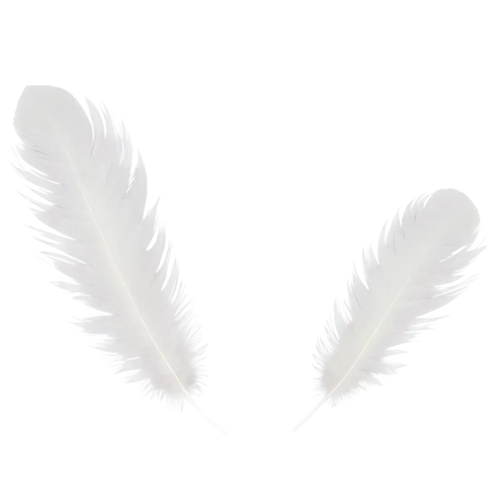 Lightweight-White-Feather-PNG-Image-Topview-for-Creative-Projects