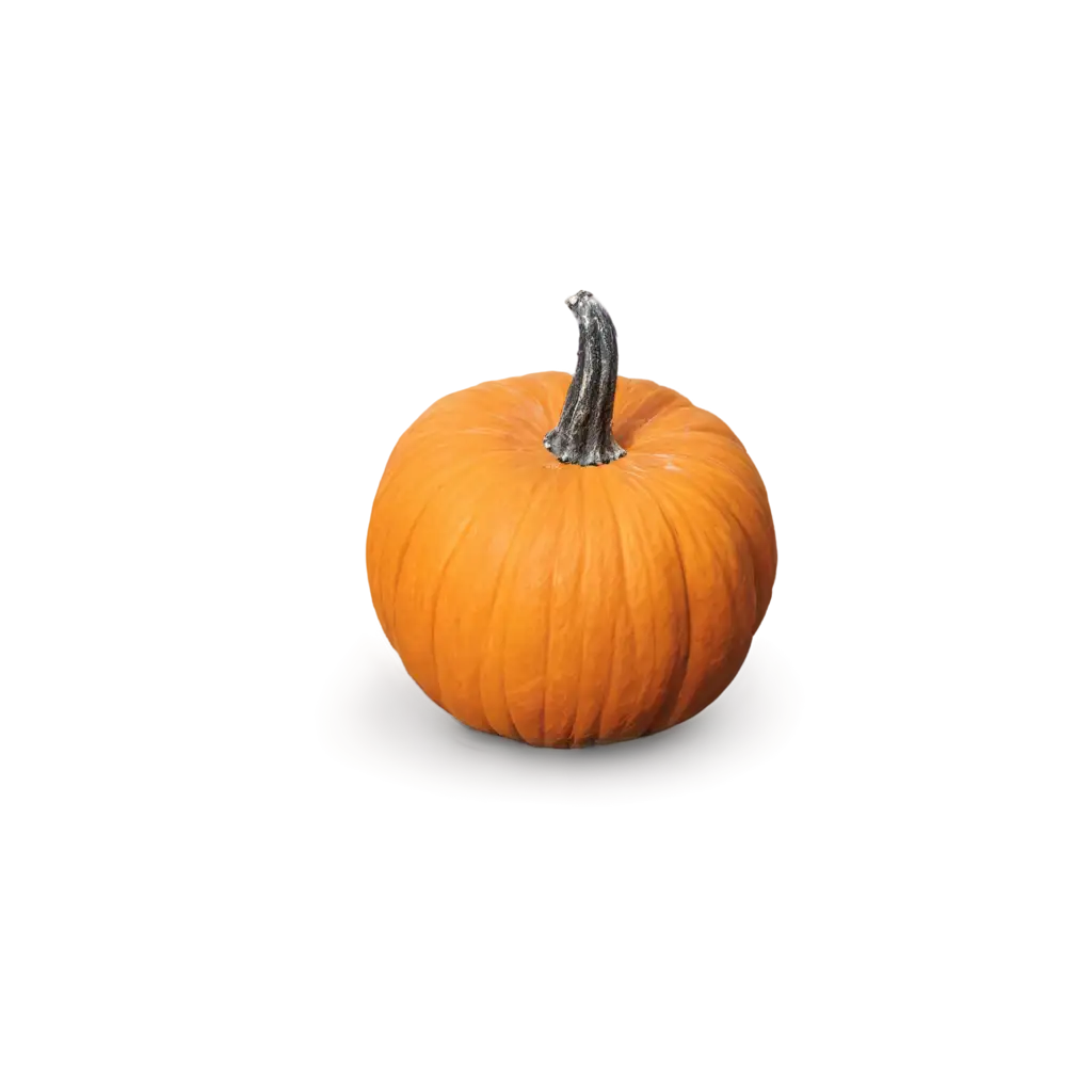 HighQuality-Pumpkin-PNG-Image-for-Versatile-Design-Use