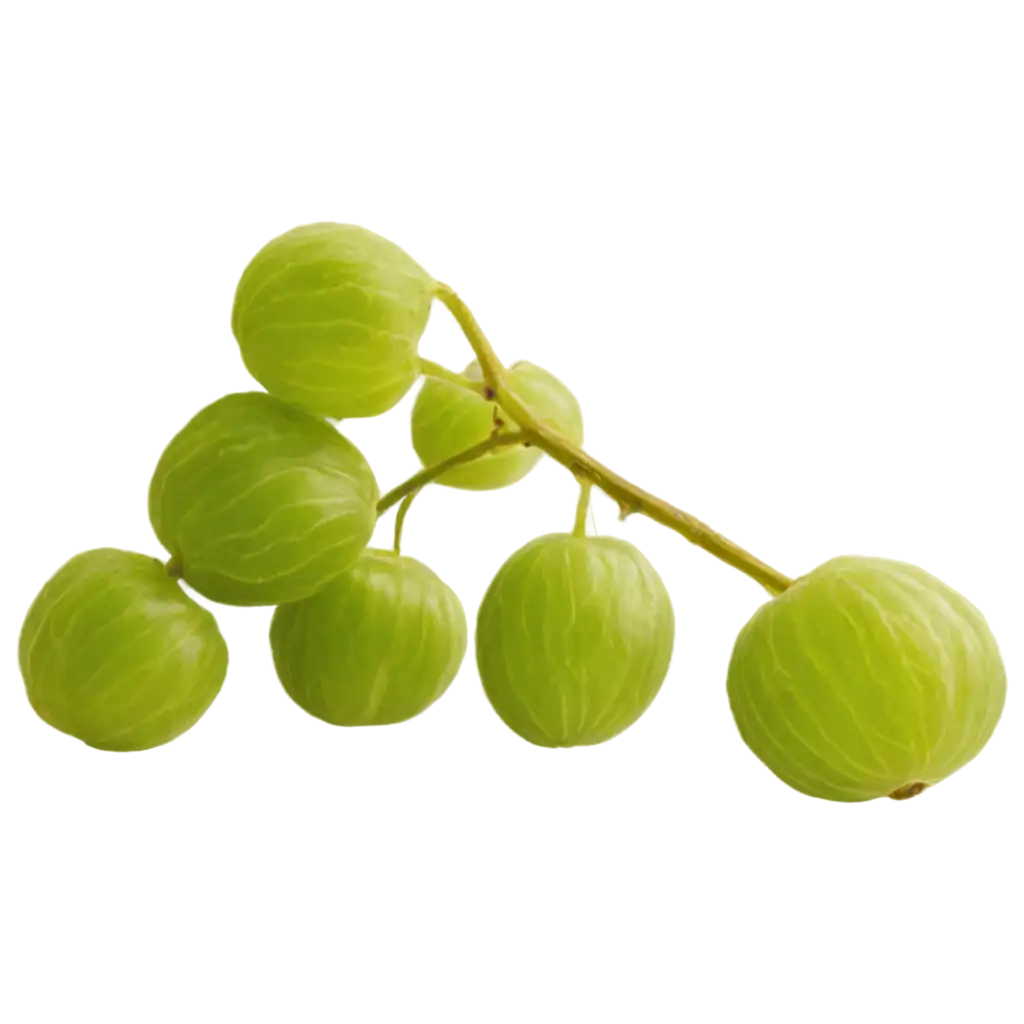 Gooseberry-PNG-Image-Vibrant-and-Versatile-for-All-Your-Creative-Needs