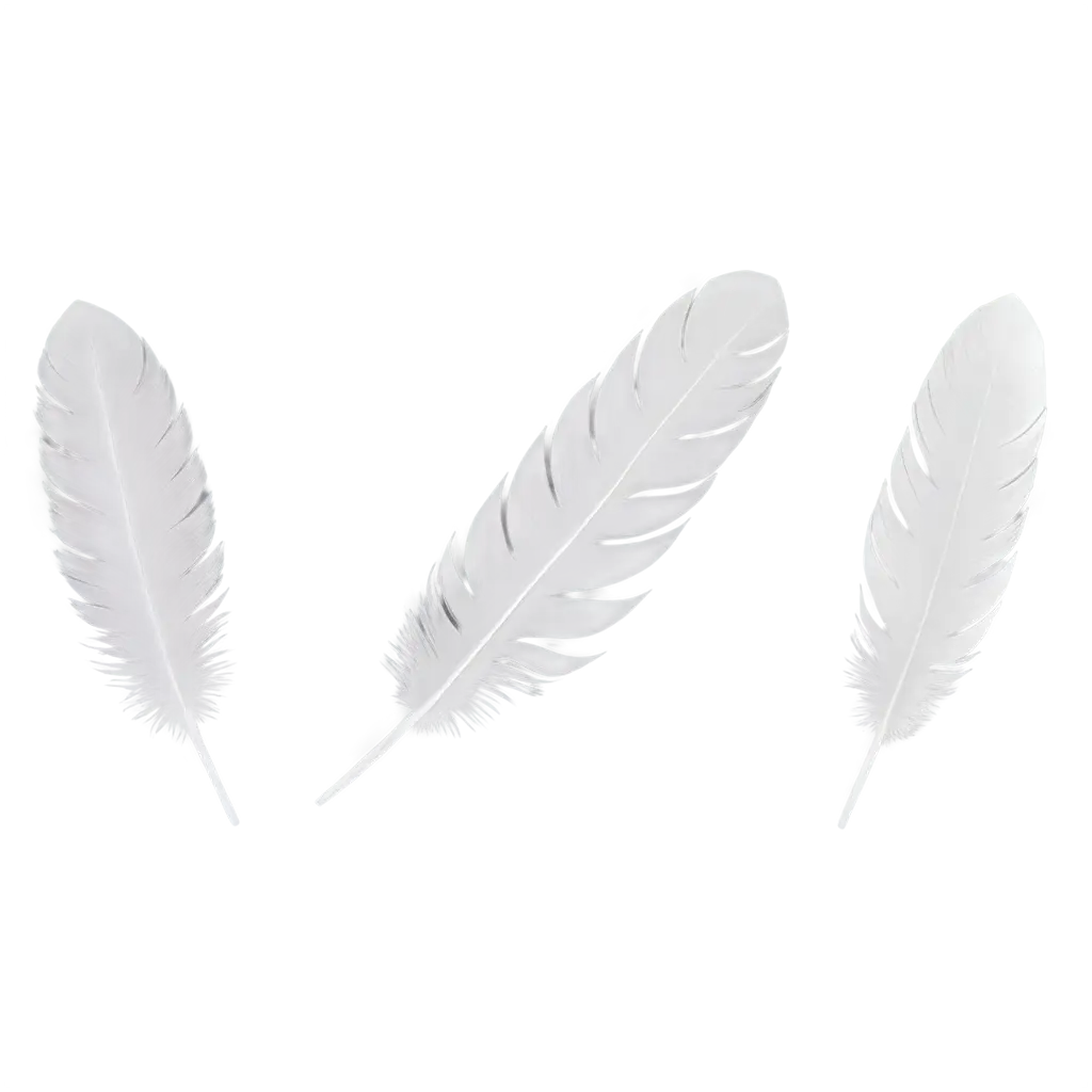 UltraRealistic-White-Feather-PNG-Image-for-HighQuality-Design-Use