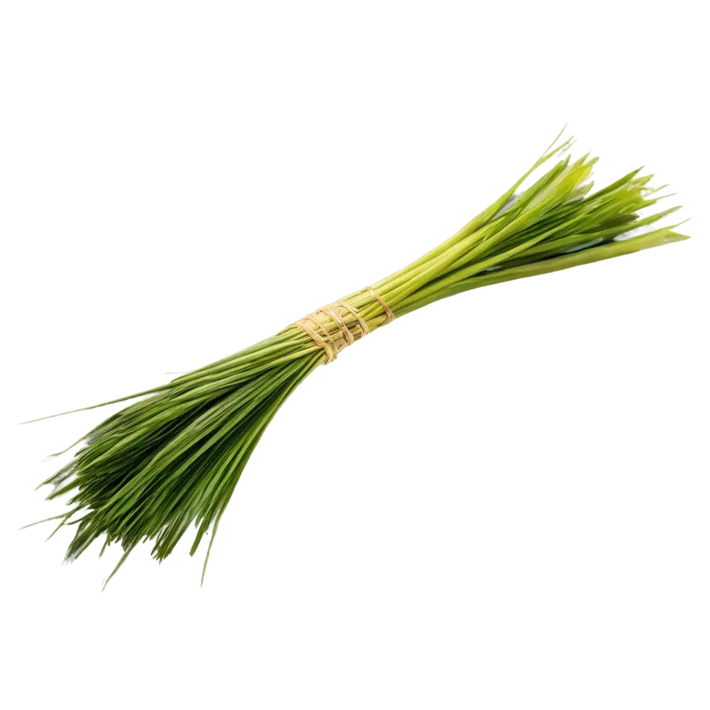 Lemon-Grass-Bunch-at-Acute-Angle-PNG-Image-for-HighQuality-Clarity-and-Flexibility