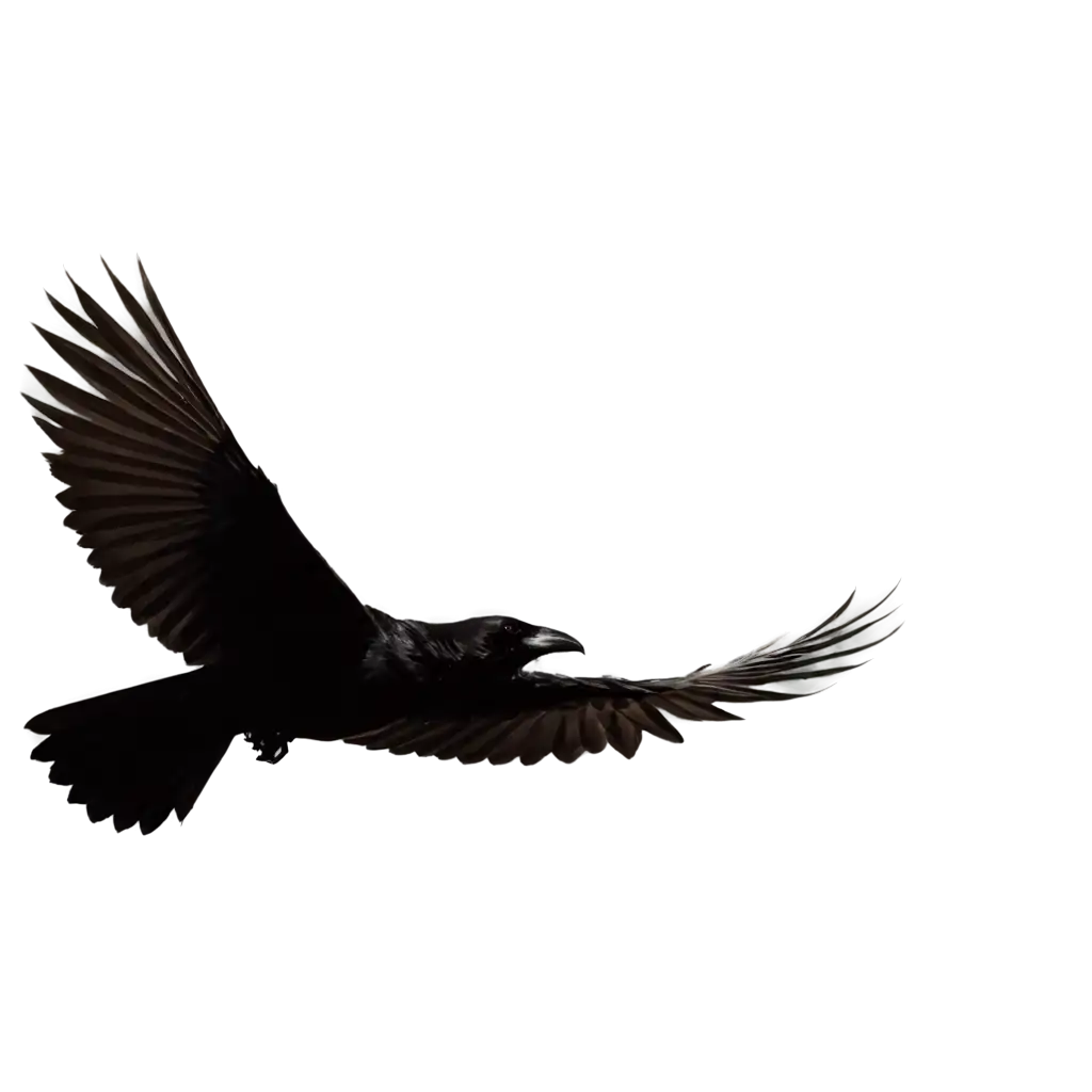 Silhouette-of-a-Flying-Crow-Bird-PNG-Perfect-for-HighQuality-Graphic-Design-and-Digital-Art