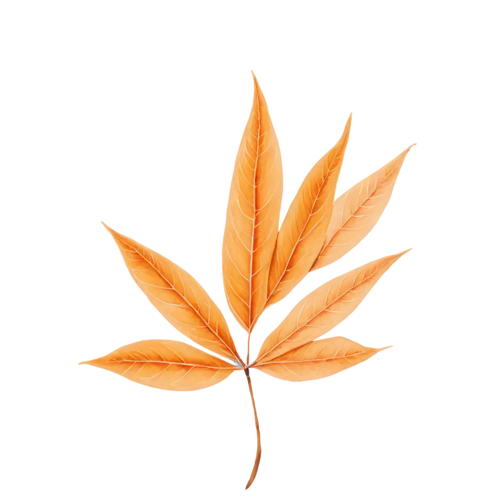 Autumn-Leaf-Illustration-PNG-with-Vibrant-Naranjii-Details-HighQuality-Transparent-Image