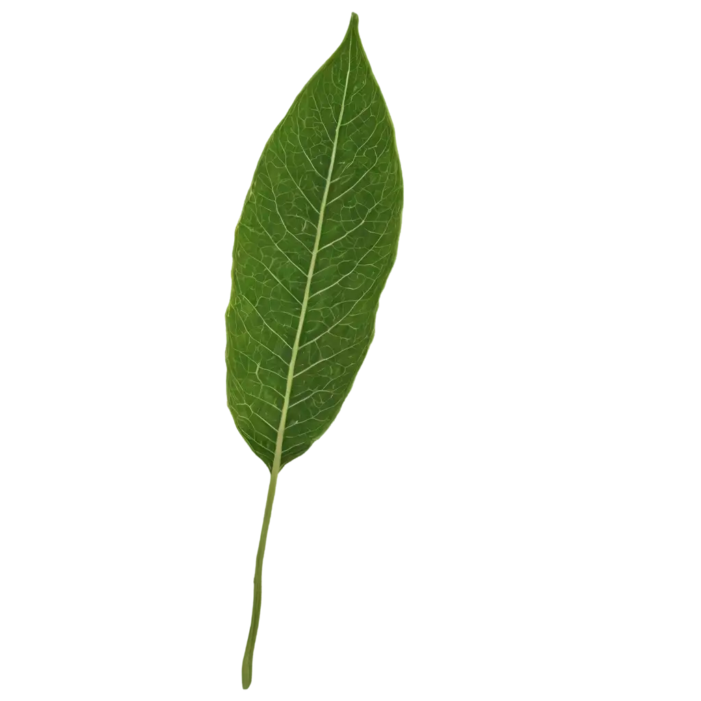 HighQuality-PNG-Image-of-Daun-for-Versatile-Applications