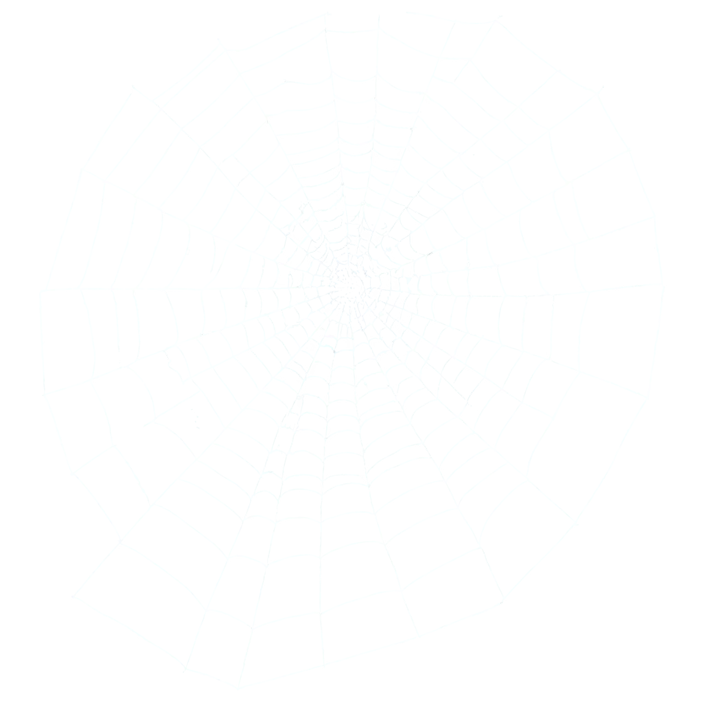 Spider-Webs-PNG-Image-for-HighQuality-Digital-Use