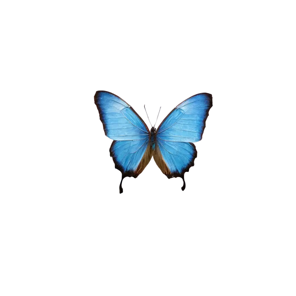 Beautiful-Blue-Butterfly-PNG-Image-for-Creative-Projects