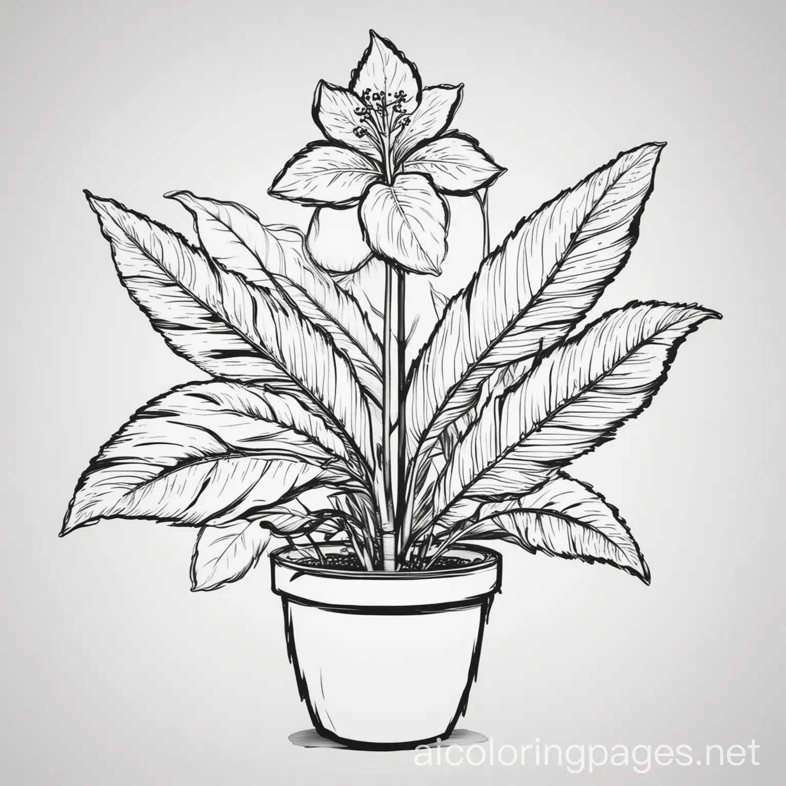 Hawaiian-Plant-Hau-Coloring-Page-Black-and-White-Line-Art-for-Kids