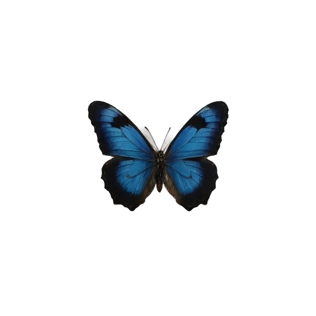 Blue-Panther-Butterfly-PNG-Image-Exquisite-Beauty-Captured-in-High-Quality