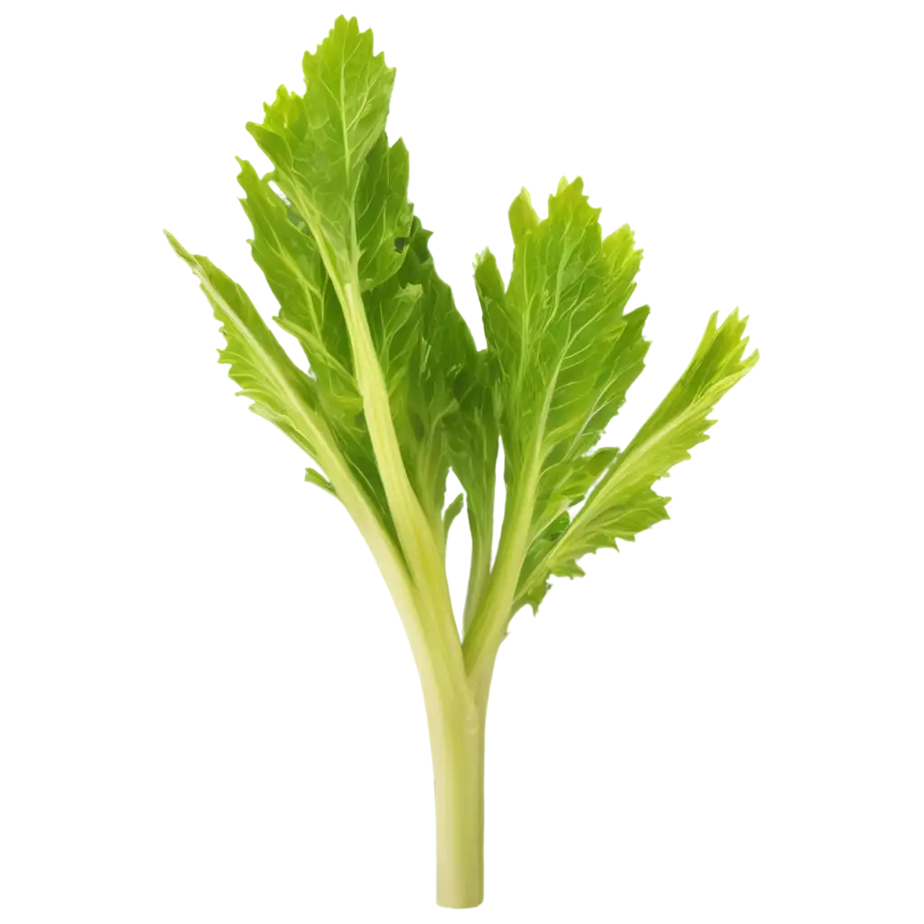 celery leaves floating on the air