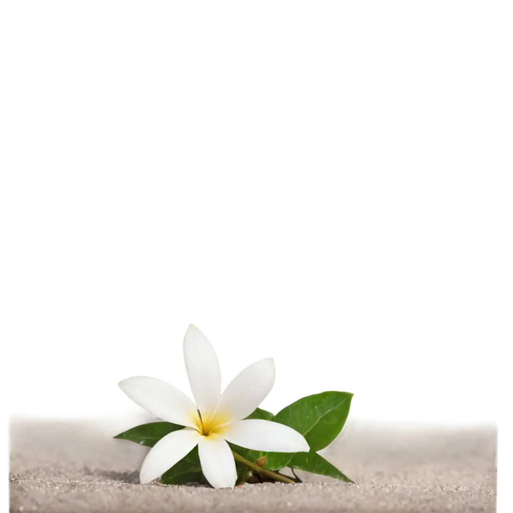 Tiare-Flower-Resting-on-Sand-HighQuality-PNG-Image-for-Nature-and-Aesthetic-Designs