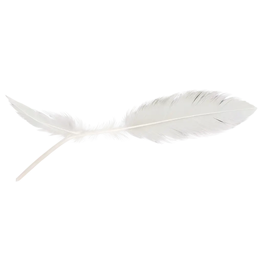 White-Feather-of-a-Bird-PNG-HighQuality-Transparent-Image-for-Creative-Projects