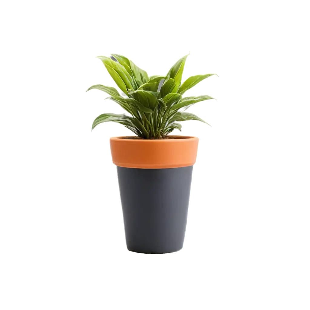 Flower-Pot-PNG-Image-for-Clear-and-Versatile-Design-Applications