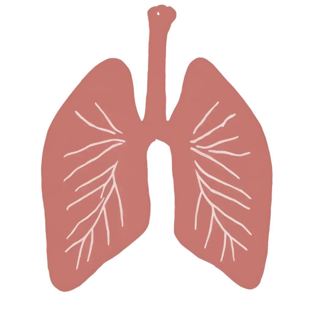 HighQuality-Lungs-PNG-Image-for-Clear-and-Versatile-Visuals