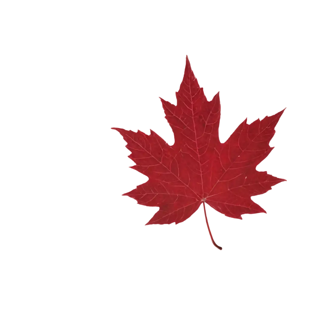 HighQuality-Maple-Leaf-PNG-Image-for-Versatile-Digital-Projects