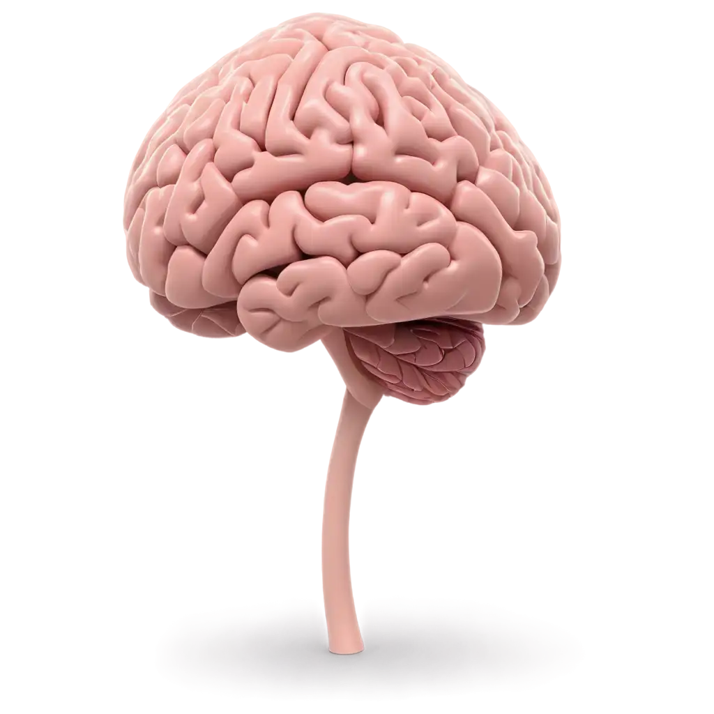 HighQuality-Human-Brain-PNG-Image-for-Clear-Visual-Representation