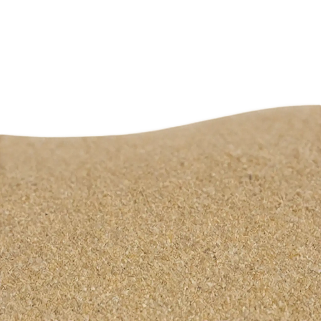 HighQuality-PNG-Image-of-Sand-on-the-Beach-for-Versatile-Usage