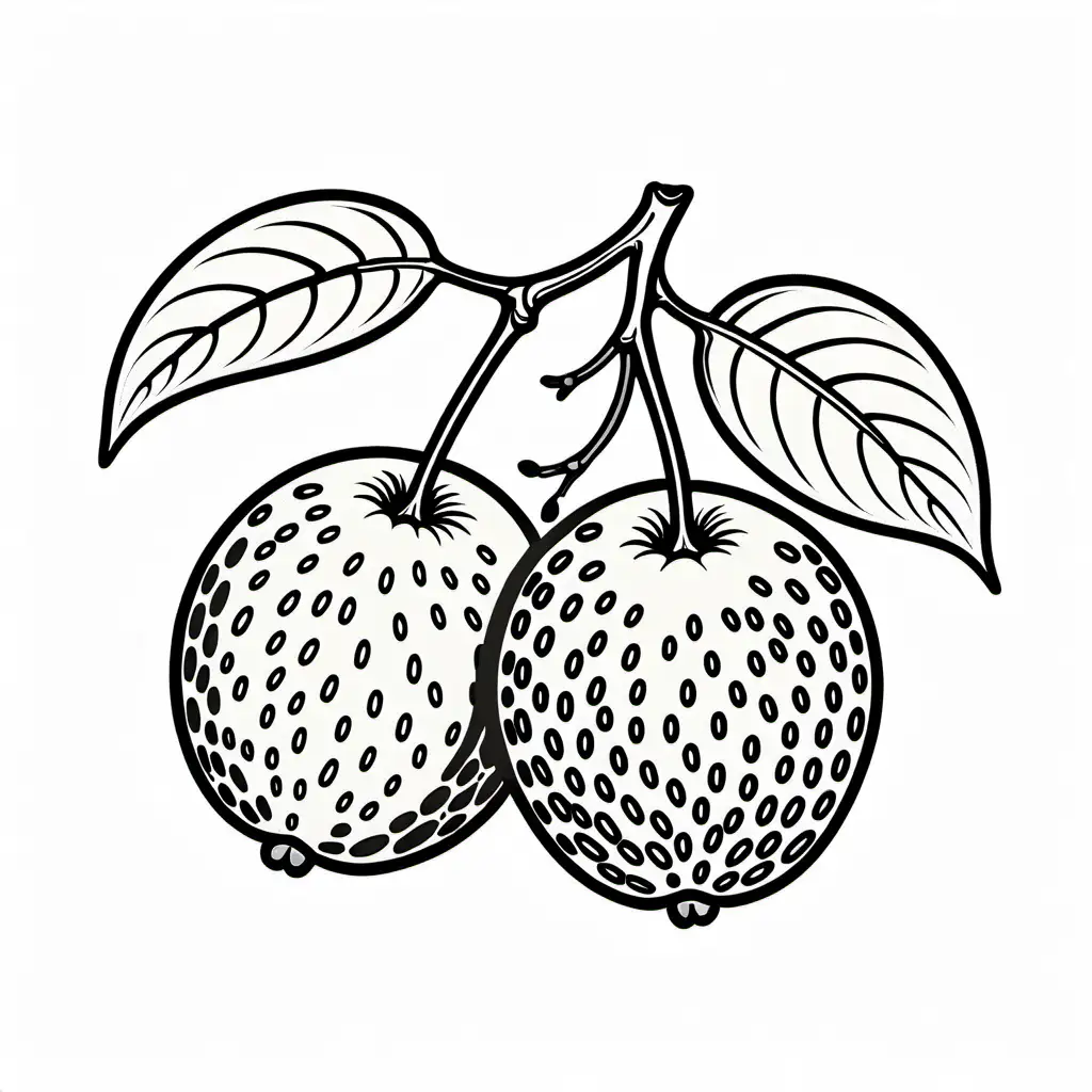 Lychee-Coloring-Page-Three-Simple-Line-Art-Fruits-on-White-Background