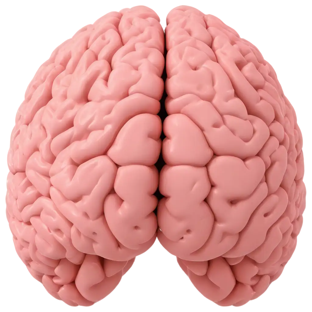 Brain-with-2-halves-vector-PNG-Detailed-Illustration-of-Cerebral-Hemispheres