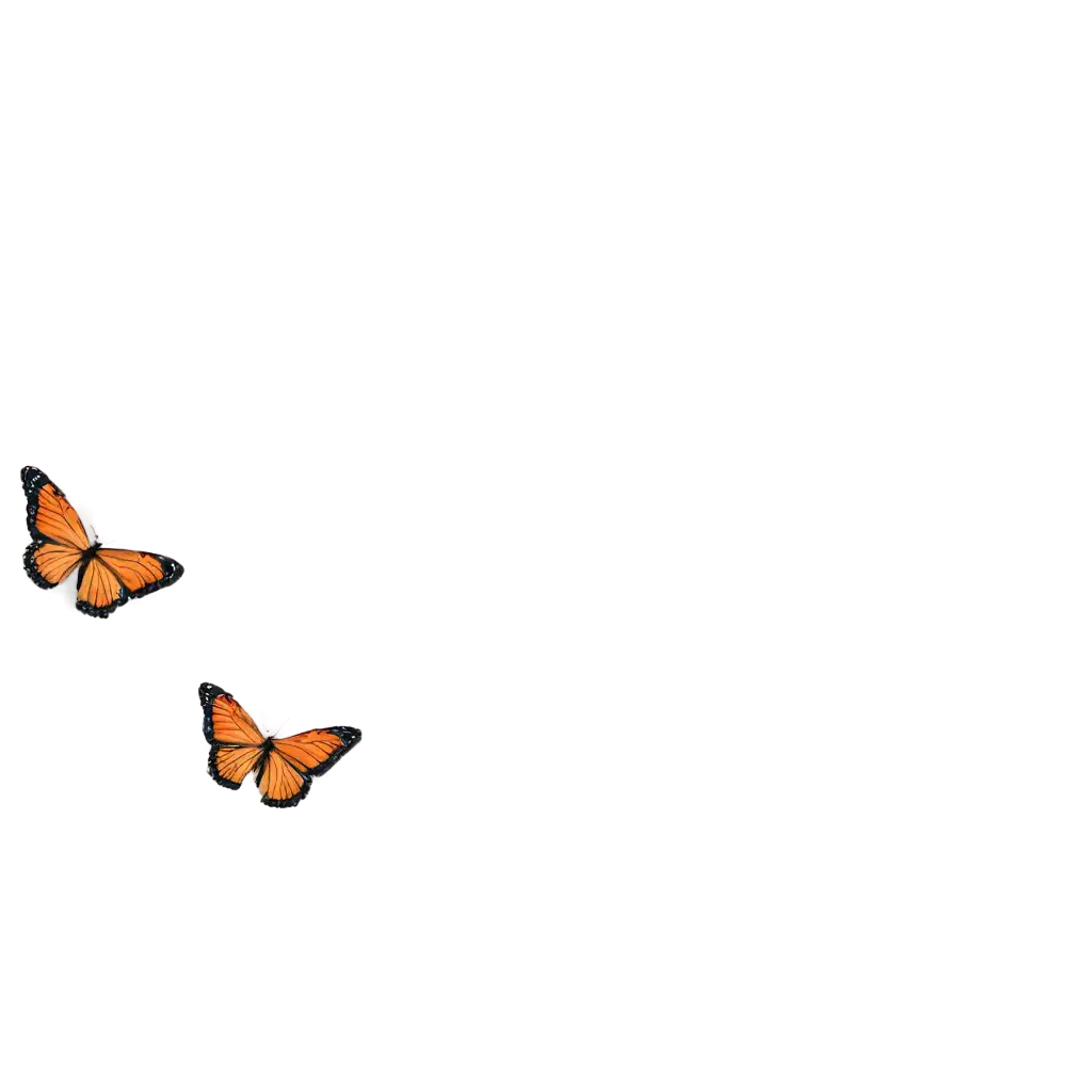 Flying-Butterfly-PNG-Image-HighQualityPNG-Image-Usage-Analysis-Transparent-Background-for-Versatile-Use