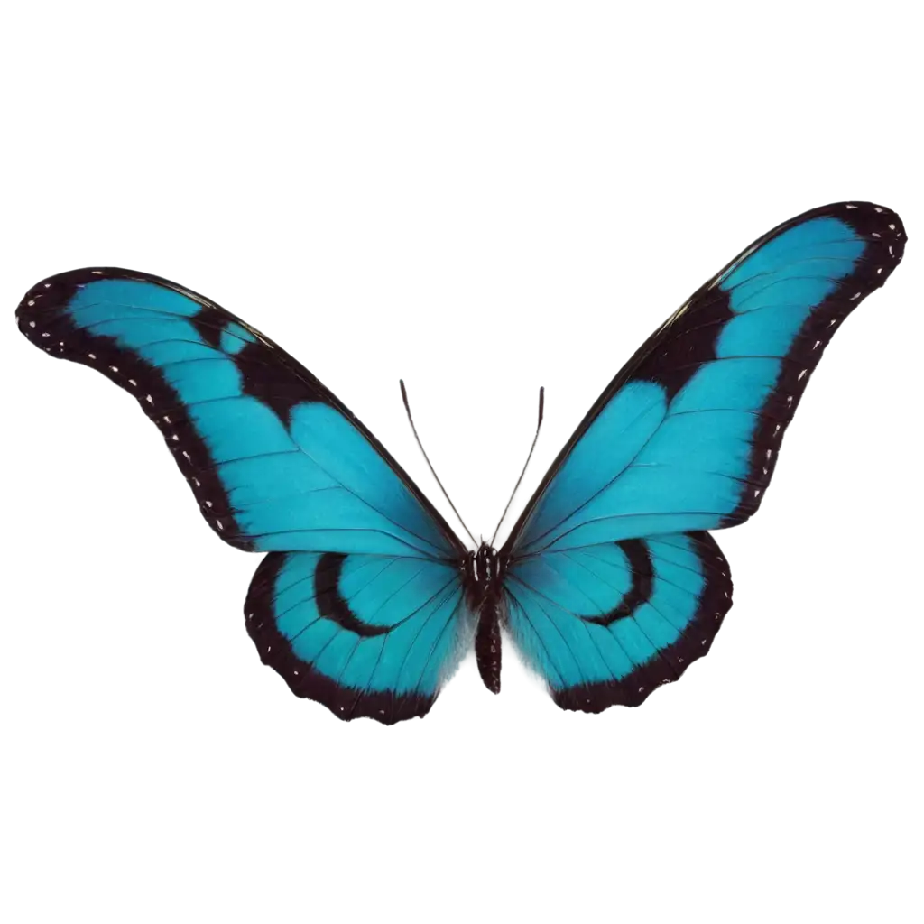 Beautiful-Modern-Butterfly-PNG-Image-Exquisite-Artwork-for-Digital-Designs