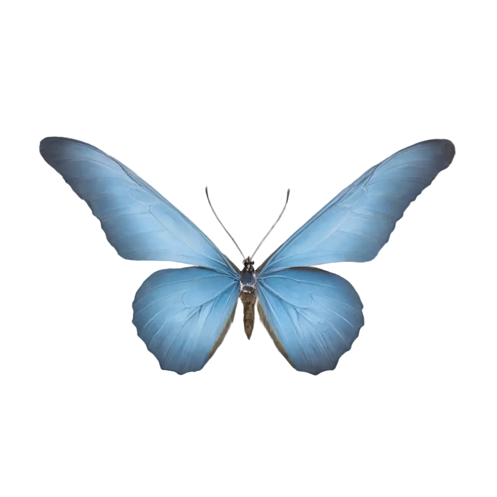 Stunning-Blue-Butterfly-PNG-for-Versatile-Digital-Use