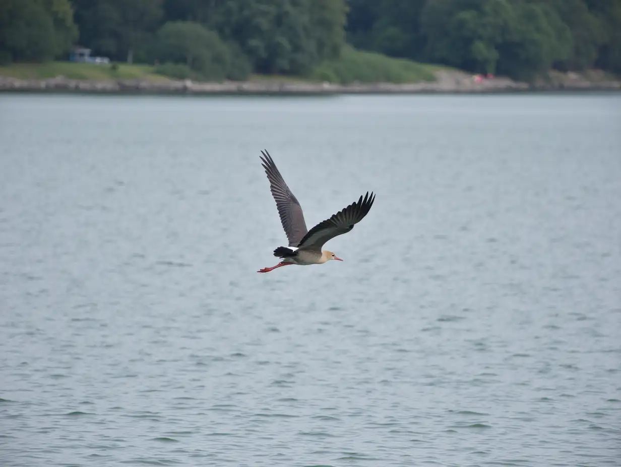 a bird flying over a body of water