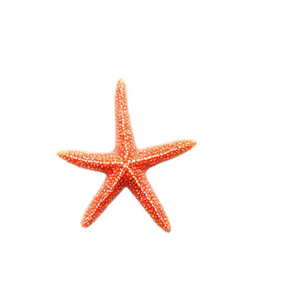 HighQuality-Starfish-PNG-Image-for-Versatile-Applications