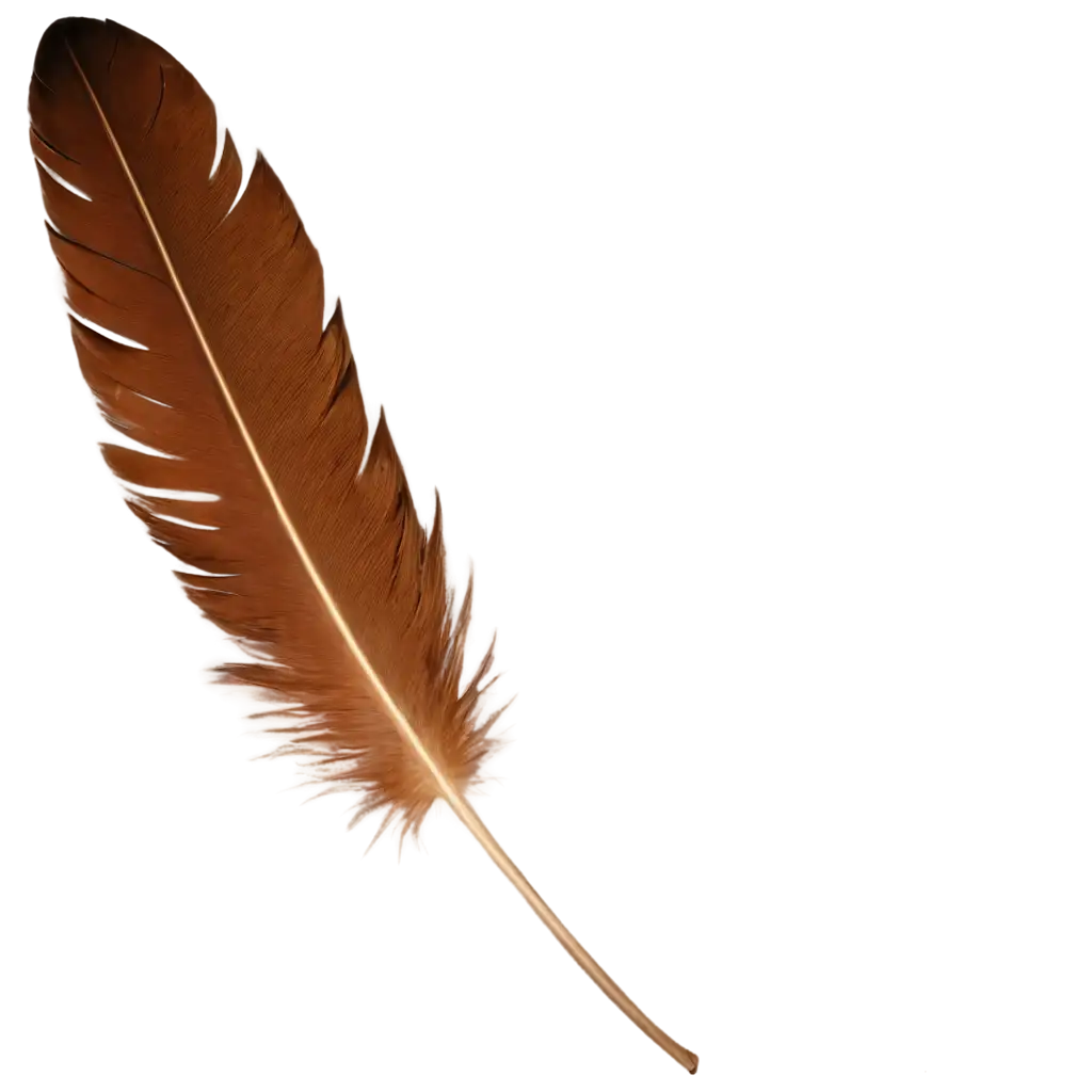 Exquisite-PNG-Image-of-a-Beautiful-Feather-Enhancing-Visual-Appeal-and-Clarity