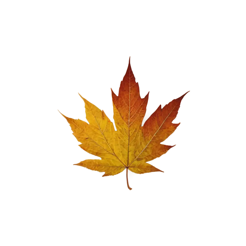 Autumn-Leaf-PNG-Image-Capturing-the-Beauty-of-Fall-in-High-Quality