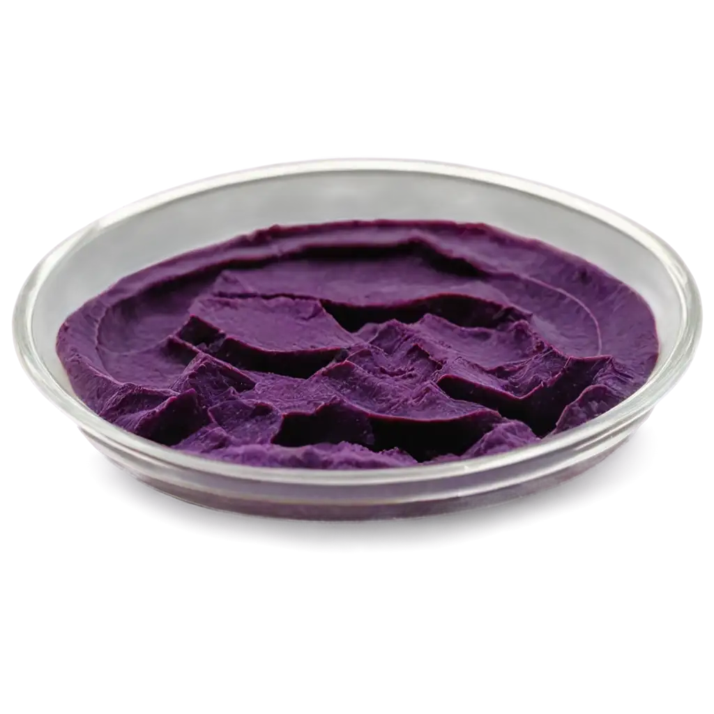 Dried-Purple-Paste-in-Petri-Dish-PNG-HighQuality-Image-for-Scientific-and-Creative-Uses