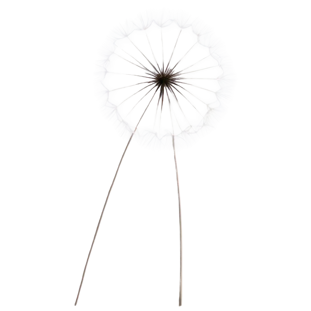 Minimalistic-Dandelion-PNG-A-Clear-and-Elegant-Visual-for-Your-Projects