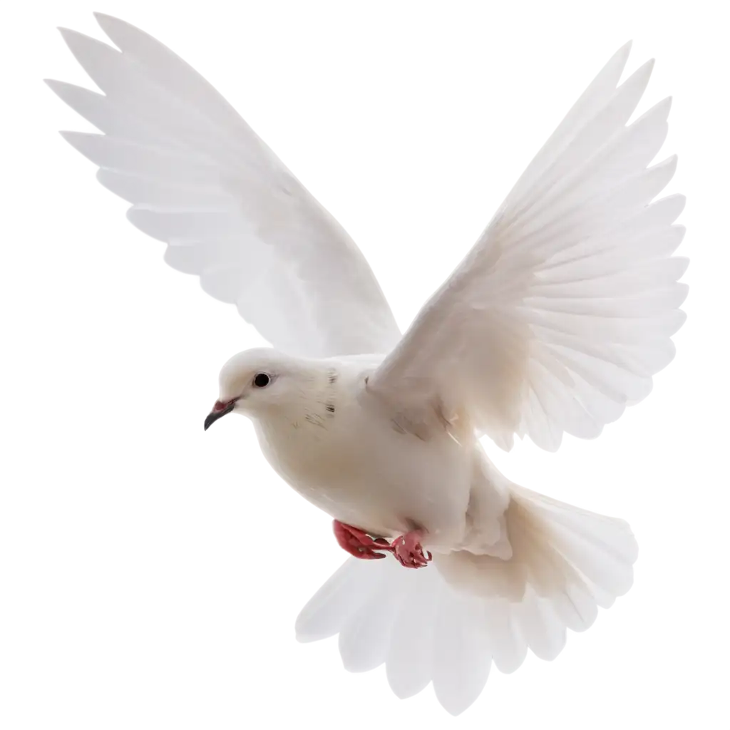 Elegant-Dove-with-Two-Flying-Wings-PNG-Image-Capturing-Serenity-and-Grace