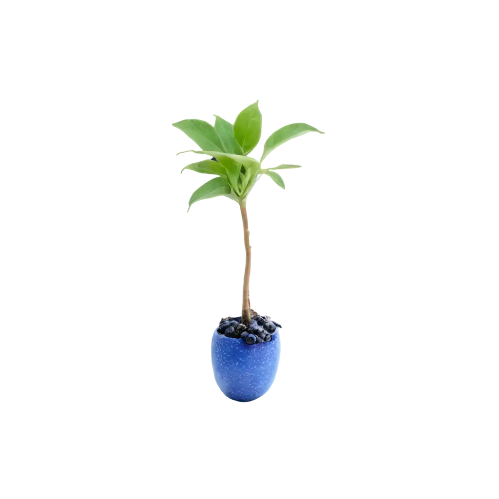 PNG-Image-OptimizationHighQuality-PNG-of-Potted-Plant-with-Blue-Fruits-for-Creative-Projects