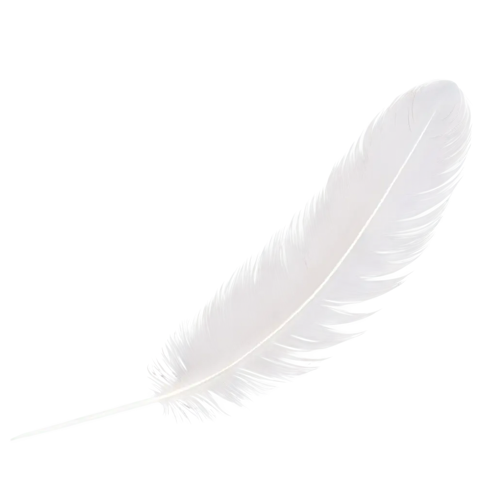 a light white bird feather in flight, slightly curved