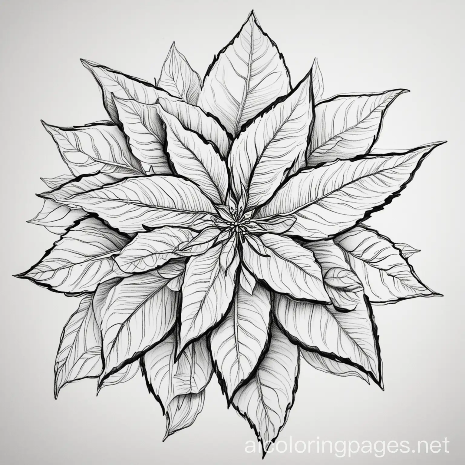 Detailed-Coloring-Page-of-Intricate-Poinsettia-Flower-Design