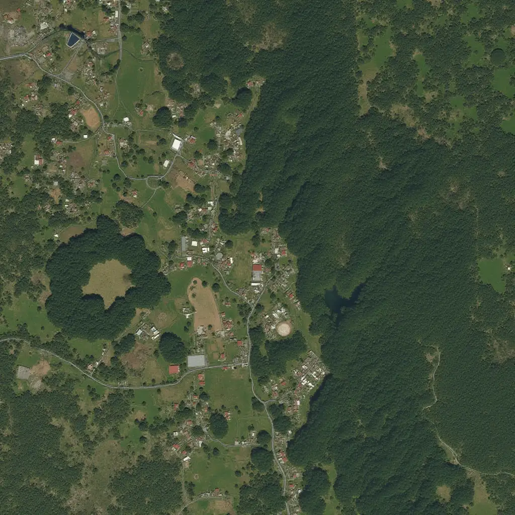 Can you identify old paths in a google air image of the terrain