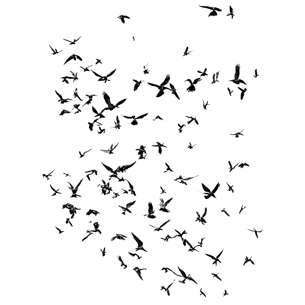 Flock-of-Birds-PNG-Image-HighQuality-and-Versatile-Visual-Asset-for-Creative-Projects