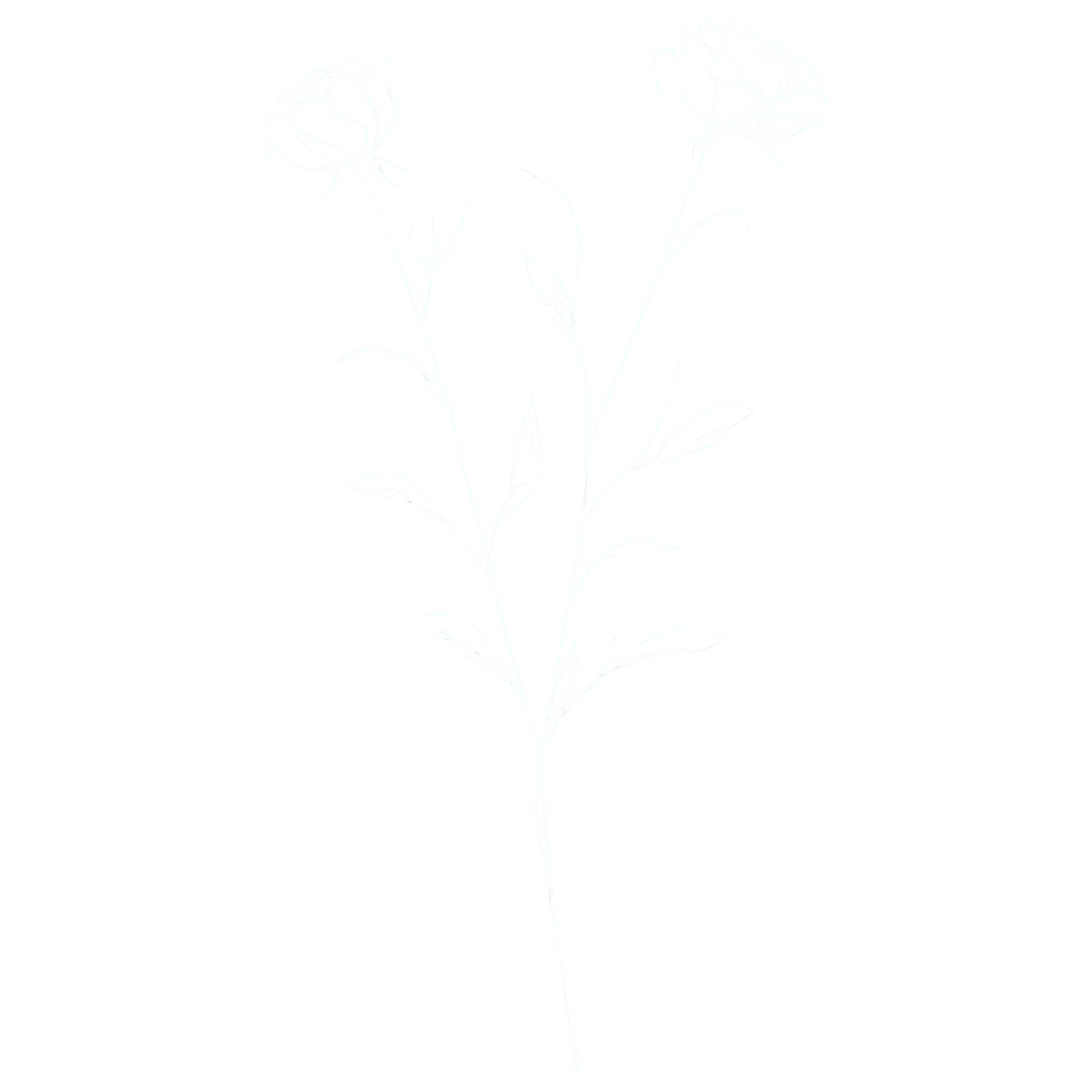 Minimalist-Line-Art-Drawing-PNG-Bouquet-of-Rose-Flowers-and-Silhouettes-of-Herbs-on-White-Background