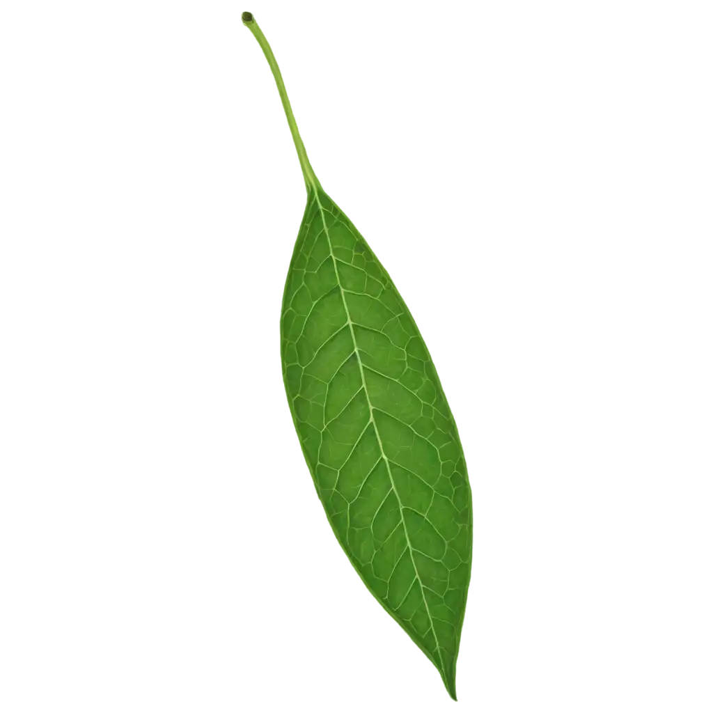 Vibrant-PNG-Image-of-a-Lemon-Leaf-Enhance-Your-Projects-with-HighQuality-Clarity