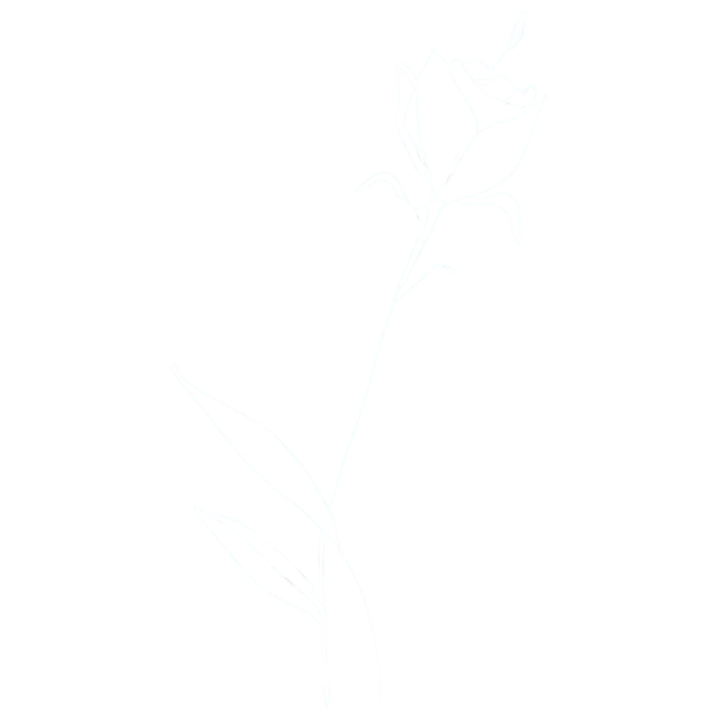 Minimalistic-HandDrawn-Flower-PNG-Elegant-SingleLine-Design-for-Creative-Use