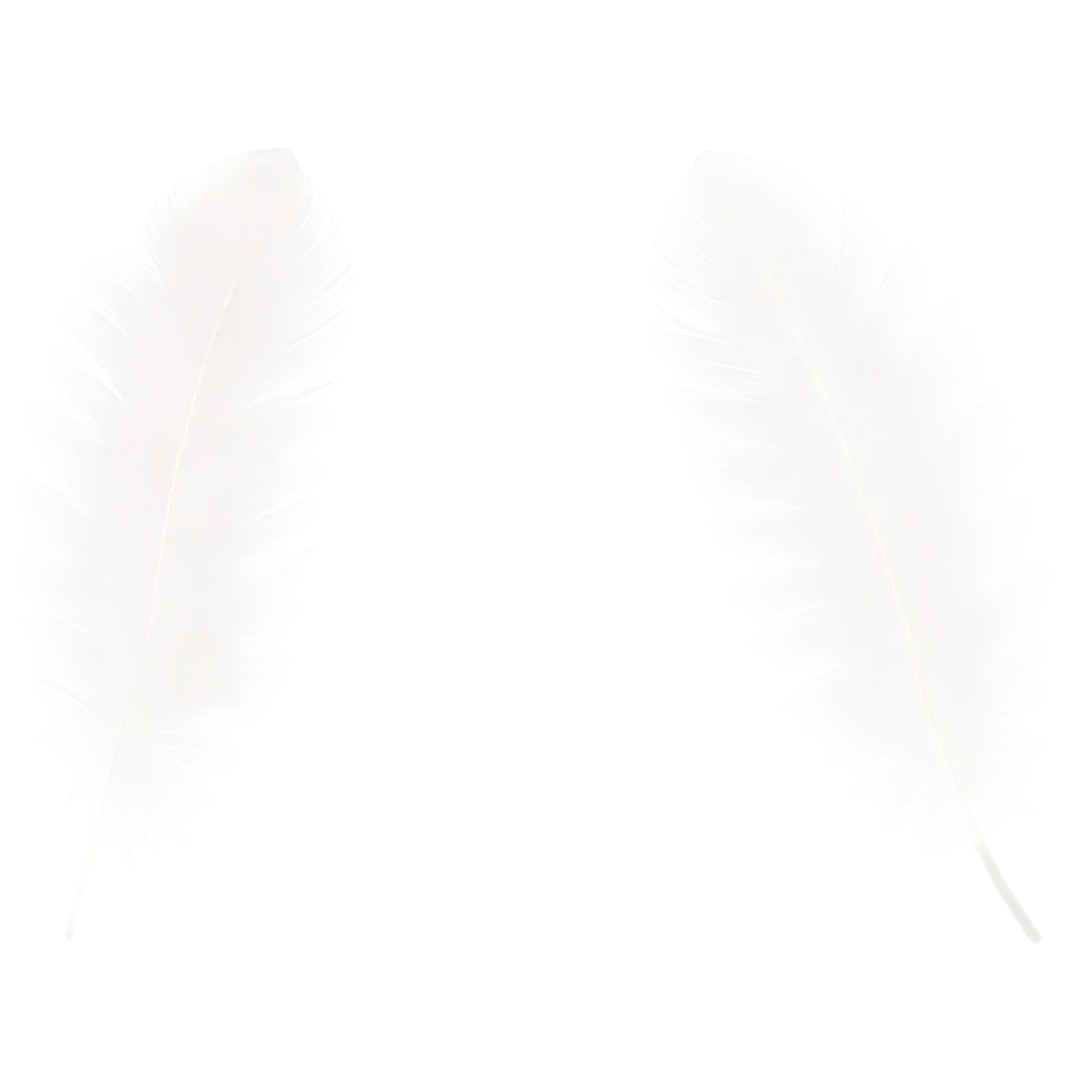 Feather-Bird-Wing-PNG-Image-Exquisite-Detail-and-Clarity