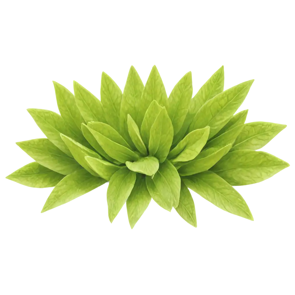 Stunning-Green-Flower-PNG-Enhance-Your-Designs-with-Vibrant-Clarity