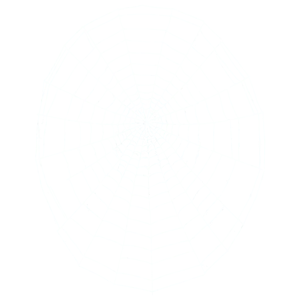 HighQuality-Spider-Web-PNG-Image-for-Digital-Projects-and-Creative-Use