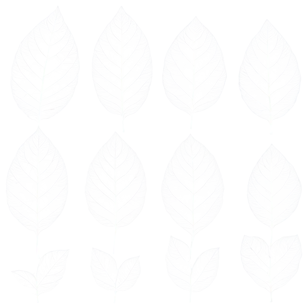 Set Of White Gray Skeletons Leaves On A Black Background