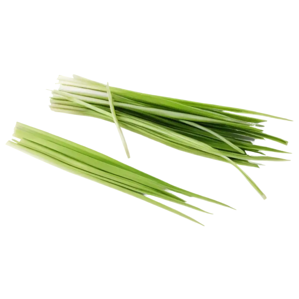 Lemongrass-Leaves-PNG-Image-for-Clear-and-HighQuality-Visuals